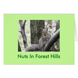 Pucci slår en posera, nöt i Forest Hills Hälsningskort