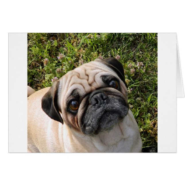 puckel hälsningskort (Framsidan Horizontal)