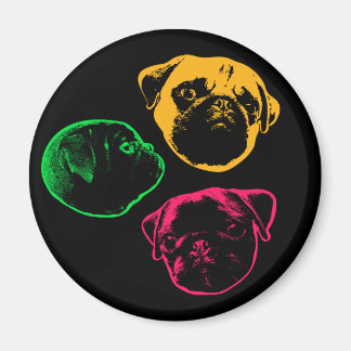 puckel magnet