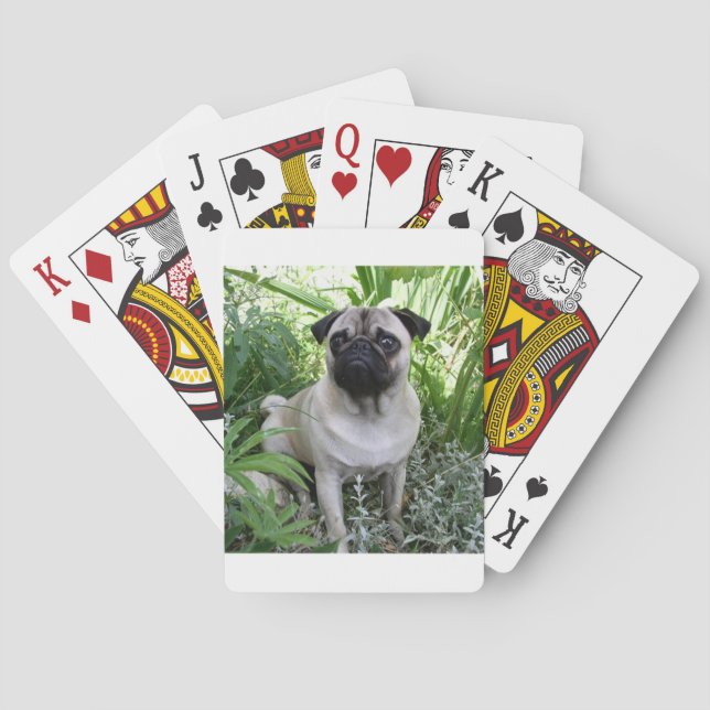 puckel sitta casinokort (Baksidan)