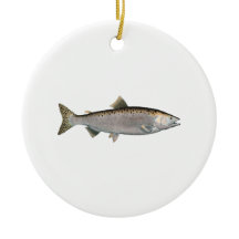 Puckelrygglax (hav arrangerar gradvis),