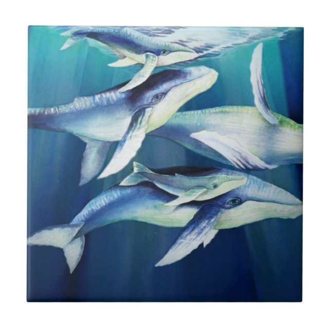 Puckelryggval Kakelplatta (Framsidan)