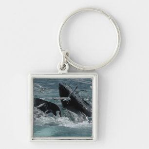 Puckelryggval Keychain Fyrkantig Silverfärgad Nyckelring