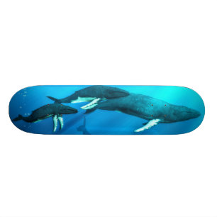 Puckelryggval Old School Skateboard Bräda 18 Cm