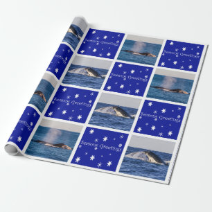 Puckelryggval som bryter igenom Australien jul Presentpapper