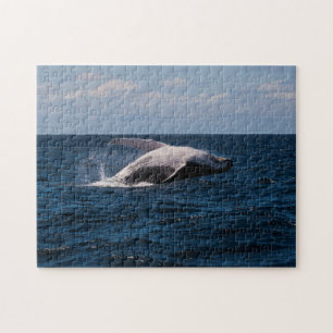 Puckelryggval som bryter igenom Stilla havet Pussel