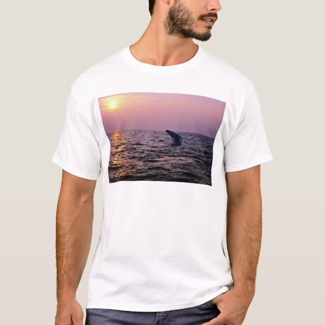 Puckelryggval som sätter på en visning på tee shirt (Framsida)
