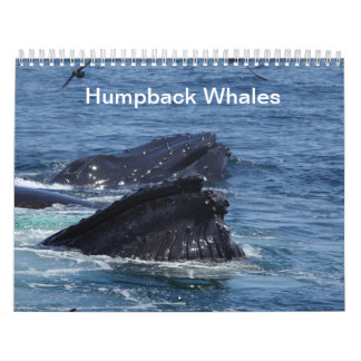 Puckelryggvalkalender 2014 kalender