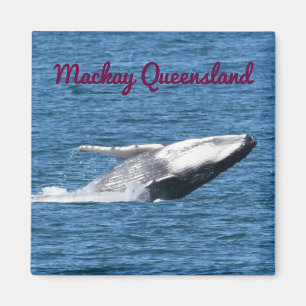 PUCKELRYGGVALSVAN MACKAY QUEENSLAND AUSTRALIEN MAGNET