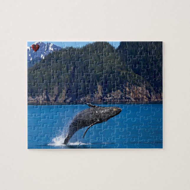 Puckelval Alaska Pussel (Horisontell)