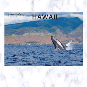 Puckelval Breaching Lahaina Hawaii Vykort