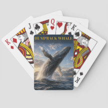 Puckelval Öppet hav DJUR