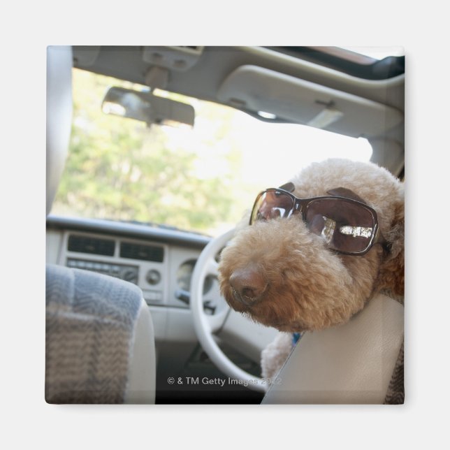 PUDEL 3 MAGNET (Framsidan)