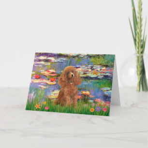 Pudel (Apricot 10) - Lilies 2 Kort