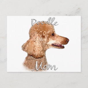 Pudel (aprikos) Mamma 2 Vykort