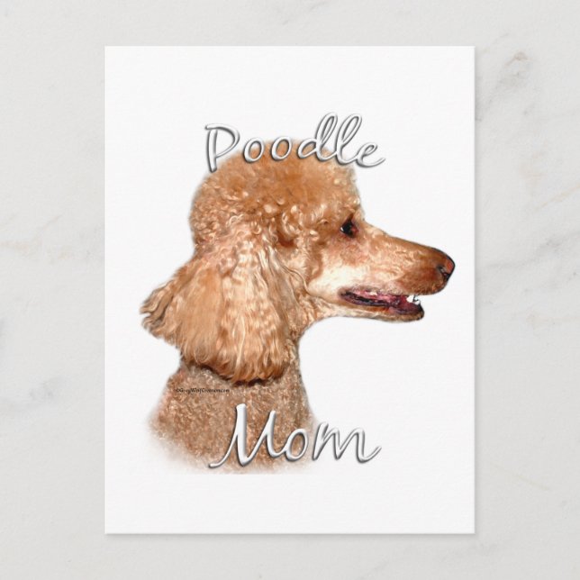 Pudel (aprikos) Mamma 2 Vykort (Framsida)