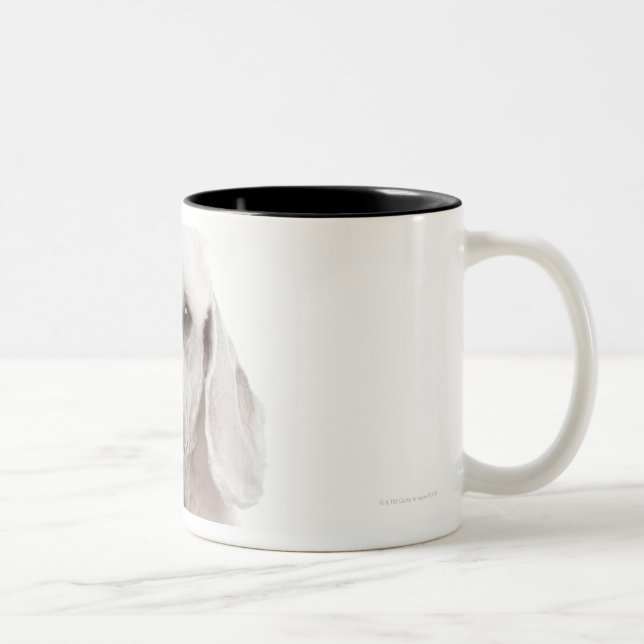 Pudel (årig 1) Två-Tonad mugg (Höger)