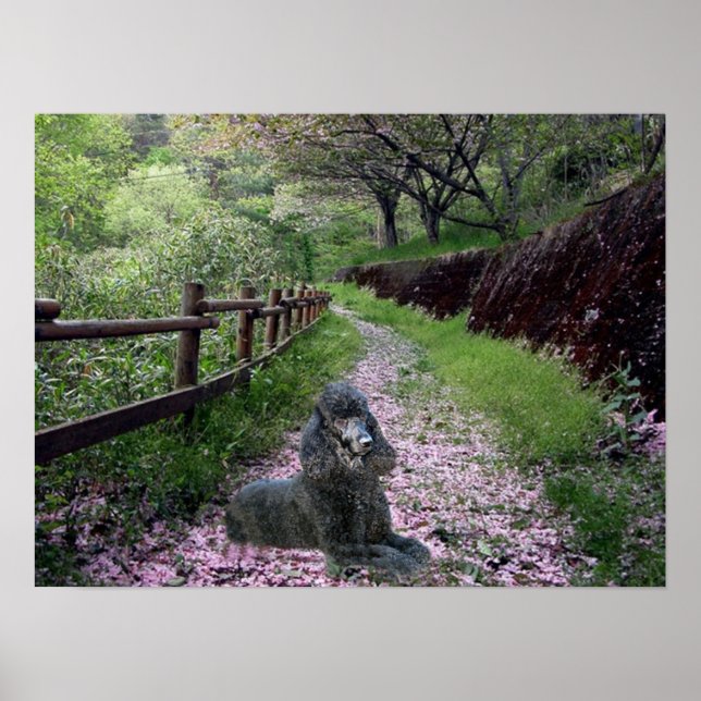 Pudel Black Poster Flowers (Framsidan)