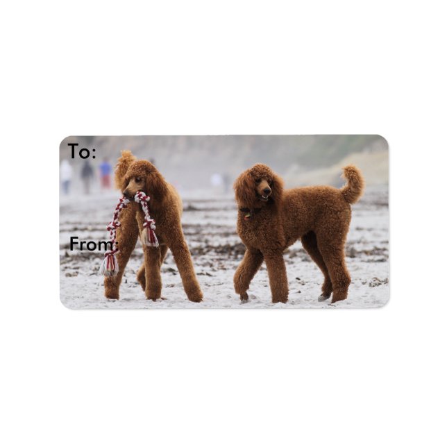 Pudel Dag 2010 #10 Adressetikett (Framsidan)