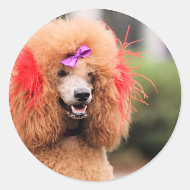 Pudel Dag 2010 #1 Runt Klistermärke (Framsida)