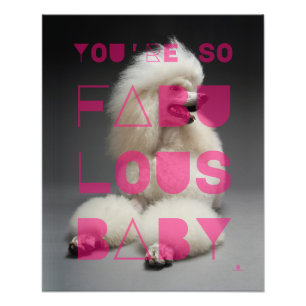 Pudel - du är så Fabulous Baby - Fototryck