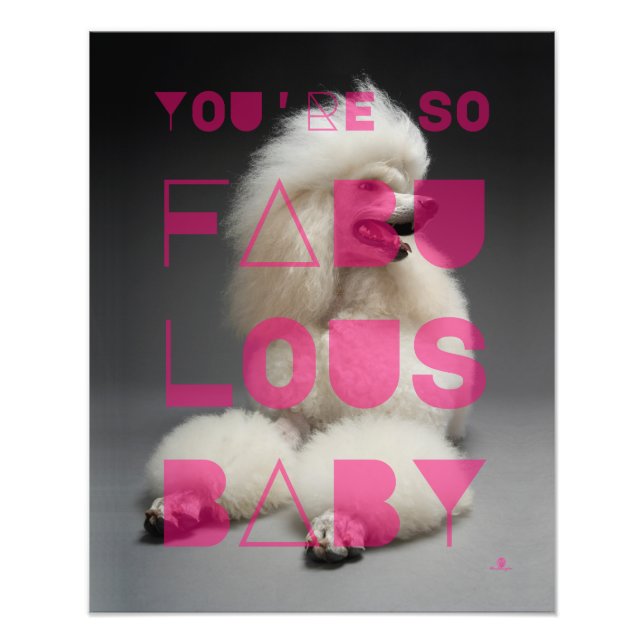 Pudel - du är så Fabulous Baby - Fototryck (Framsidan)