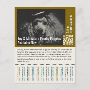Pudel Flyer