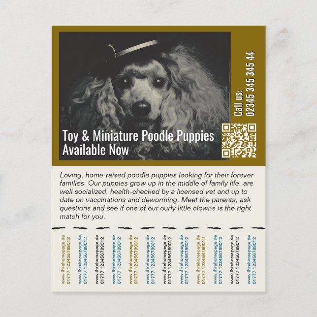 Pudel Flyer (Framsidan)