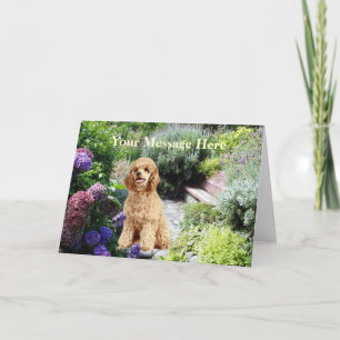 Pudel Garden Greeting Card Kort