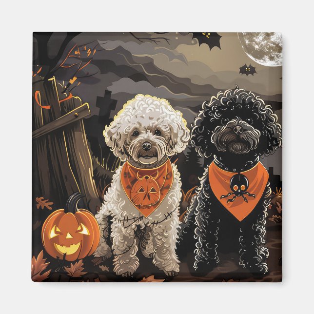 Pudel Halloween Spooky Magnet (Framsidan)