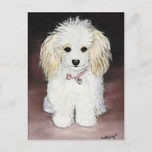 Pudel Hund Art-vykort Vykort