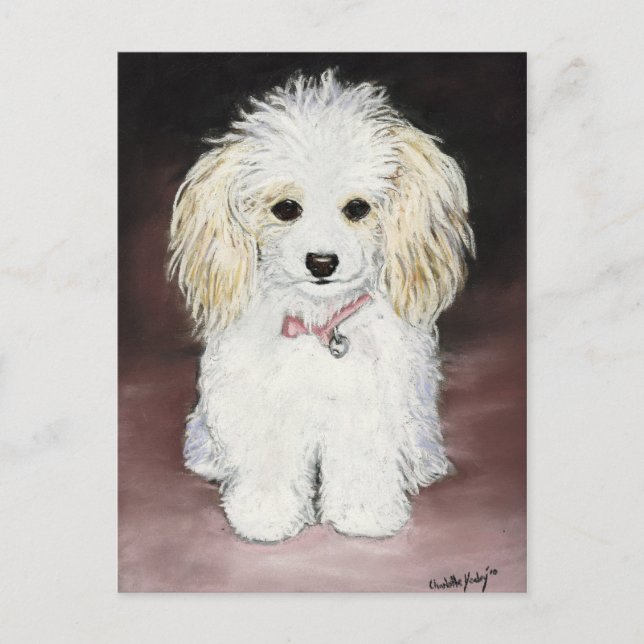 Pudel Hund Art-vykort Vykort (Framsida)