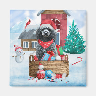 Pudel Hund i Hund i snö i julhuset Magnet