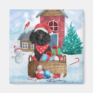 PUDEL HUND i HUND i SNÖ Magnet