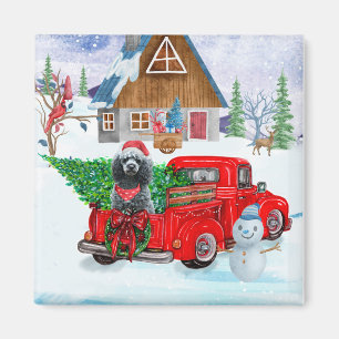 Pudel Hund i jul leveransbil Snö Magnet