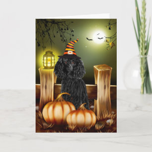 Pudel Hund med Häxa Hatt Halloween Kort