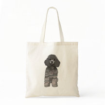 Pudel Hund Sällskapsdjur