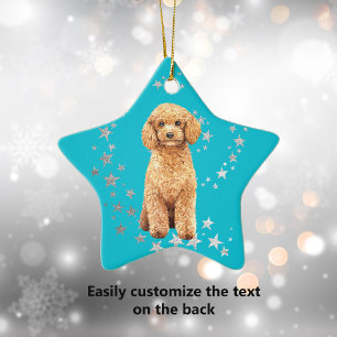 Pudel Hund Stars Teal-jul Julgransprydnad Keramik