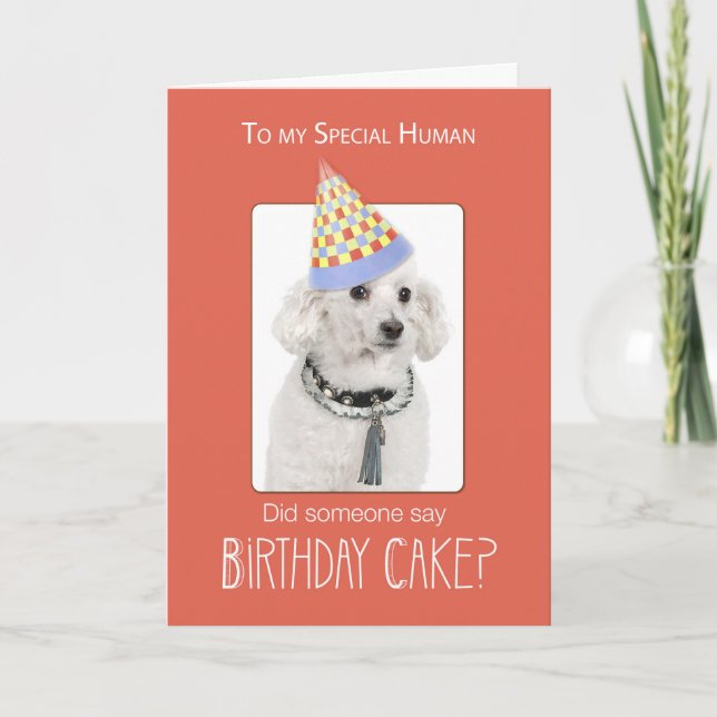 Pudel Hund till Human Birthday Humor, Orange, Funn Kort (Framsida)