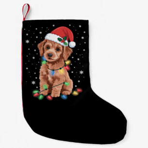 Pudel Hund Träd Jul Xmas Husdjur Djur Hund Liten Julstrumpa