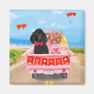 Pudel Hund Valentindagen Lastbil Hearts Magnet