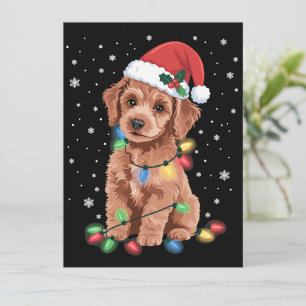 Pudel Hundar Träd Jul Xmas Husdjur Djur Hund Julkort