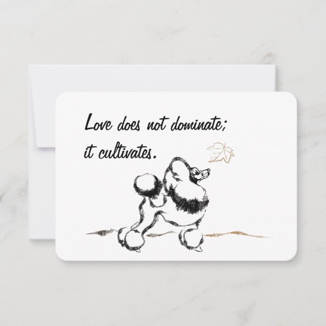 Pudel Inbjudningar (Framsida)