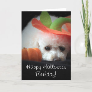 pudel-kort för happy halloween kort