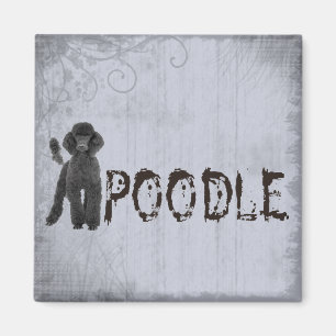 Pudel Magnet