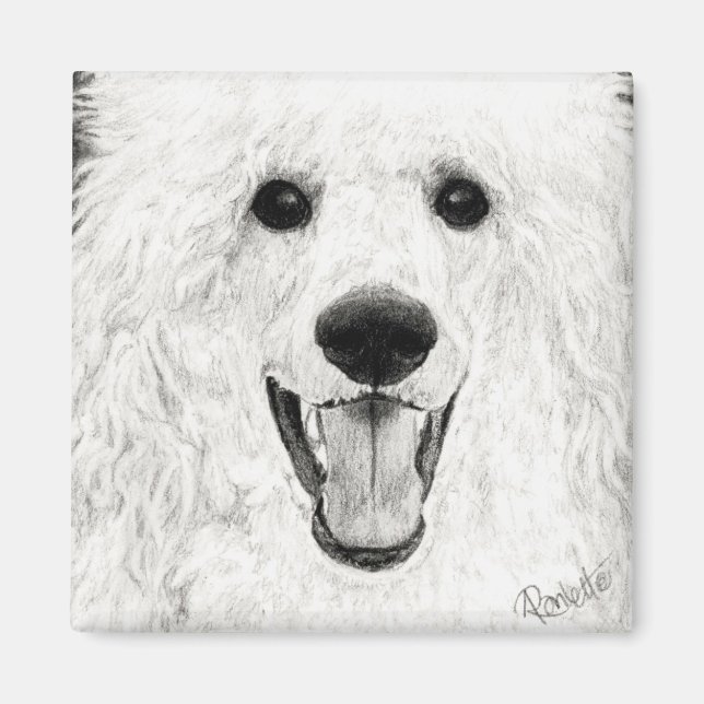 Pudel Magnet - Jolly Boy (Framsidan)