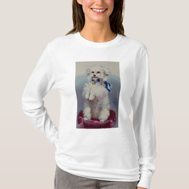 Pudel med strumpebandsorden t shirt (Framsida)