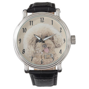Pudel Ministern Leksak Apricot Cream Brown Hund Ar Armbandsur