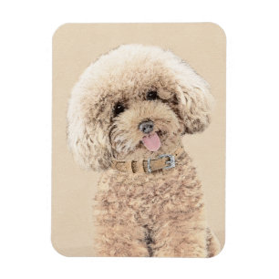 Pudel Ministern Leksak Apricot Cream Brown Hund Ar Magnet