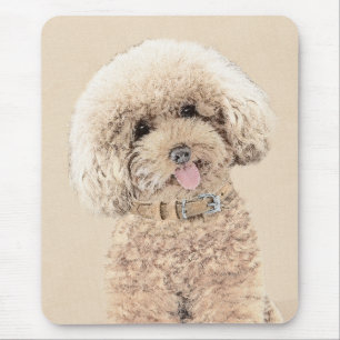Pudel Ministern Leksak Apricot Cream Brown Hund Ar Musmatta